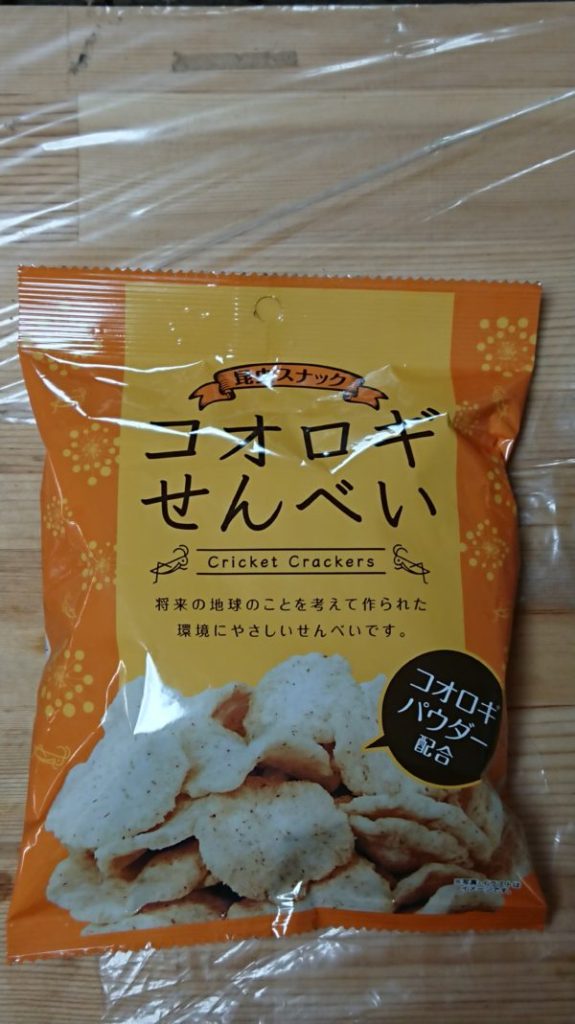 コ…コオロギ？コオロギ？